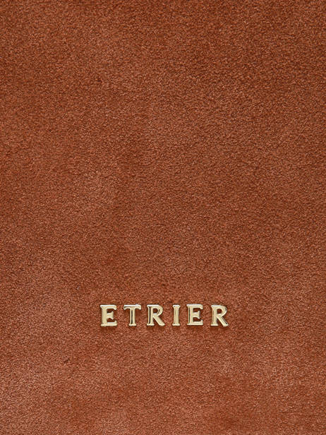 Sac Bandoulière Country Cuir Etrier Marron country ECOU161M vue secondaire 7